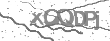 Güvenlik Kodu